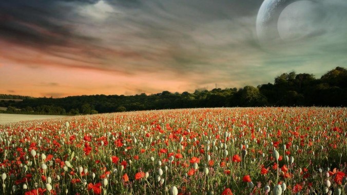 duckdb的性能如何？